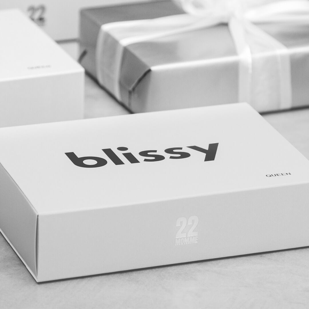 Blissy Mulberry Silk Pillowcase – White King