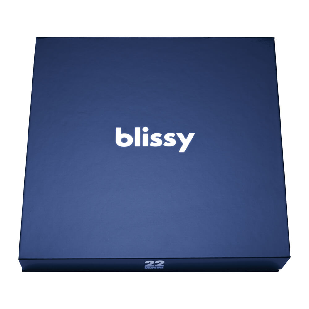 Blissy Mulberry Silk Blissy Dream Set – Blue Standard