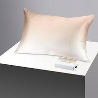 Pillowcase - Champagne Ombre - Queen