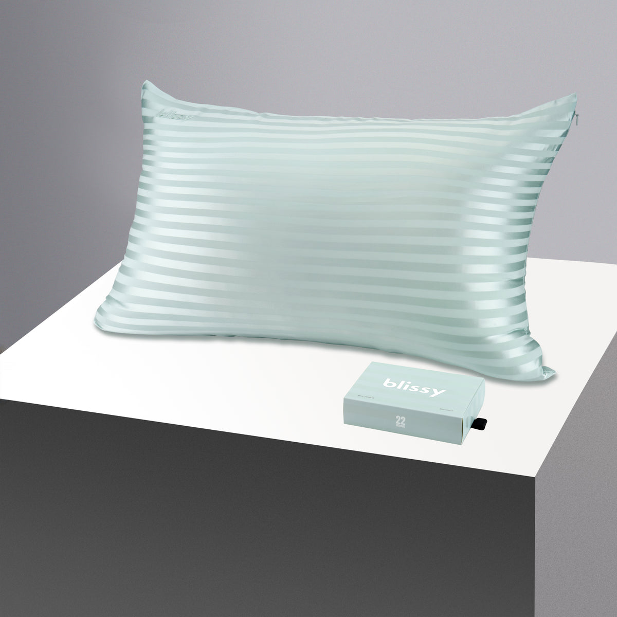 Blissy King Mint Striped Pillowcase – 22 Momme Mulberry Silk, 100% Silk